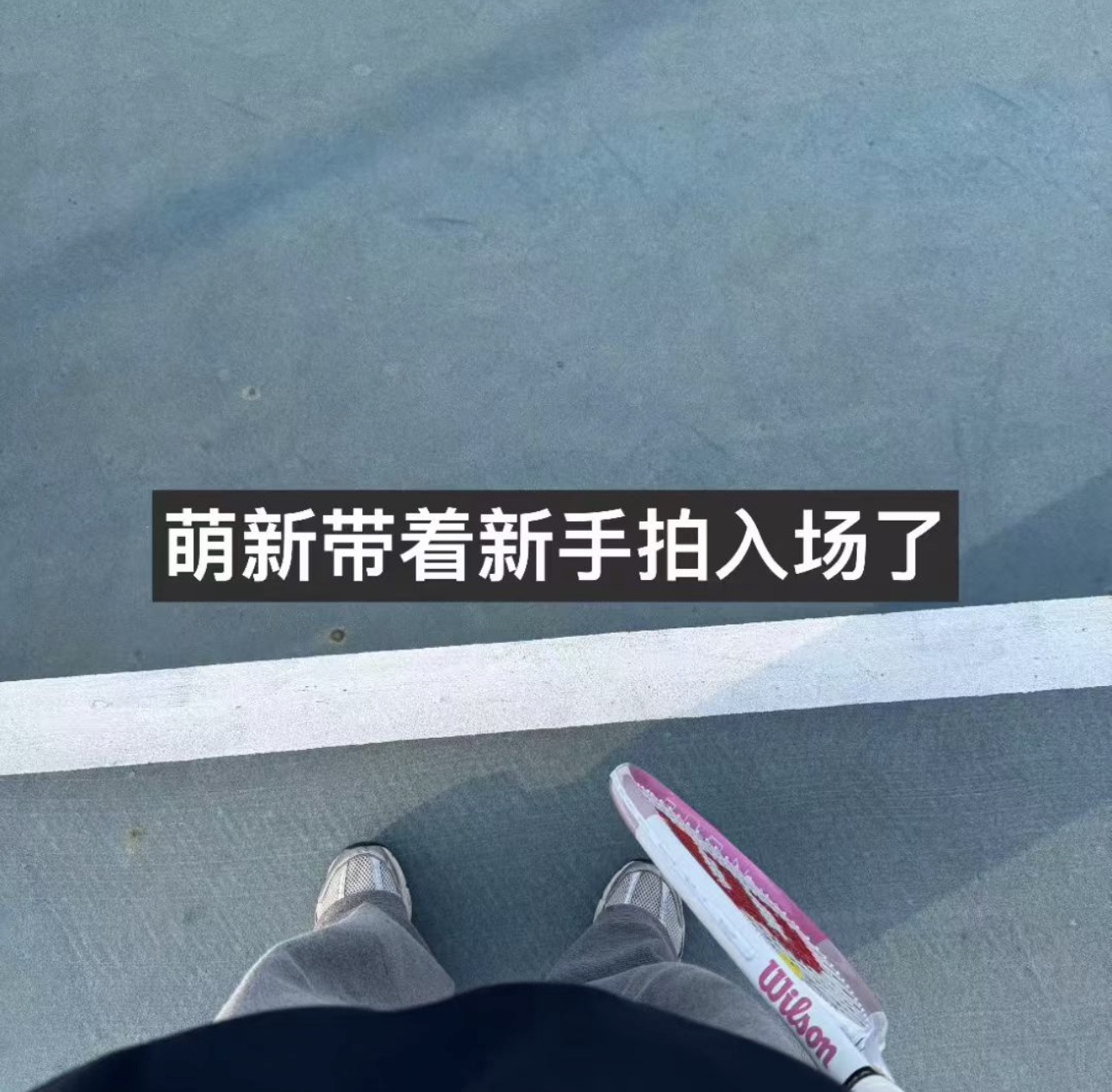 新网球人拍立得照片